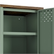 Landen Modern 47 TV Stand with 6 Fixed Shelves in Green