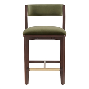 Patricia Modern Wood Upholstered Counter Stool in Turtle Green