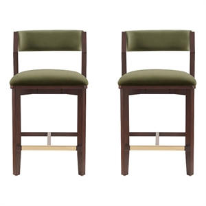Patricia Modern Wood Upholstered Counter Stool in Turtle Green - Set of 2