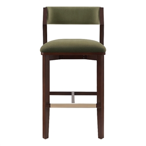 Patricia Modern Wood Upholstered Barstool in Turtle Green