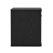 Clifford Traditional Nightstand in Black (1-Drawer)