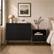 Avira Mid-Century Modern 2-Piece Dresser and Nightstand in Black