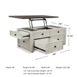 Ashley Furniture Bolanburg Engineered Wood Lift-Top Cocktail Table in Two-Tone
