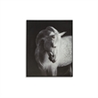 Signature Design by Ashley Archerwick Black & White Wall Art