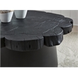 Signature Design by Ashley Wimbell Solid Wood Coffee Table in Black