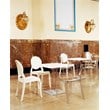 Compamia Elizabeth Polycarbonate Patio Dining Chair in Clear