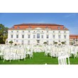 Compamia Napoleon Patio Dining Chair in White