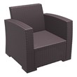 Compamia Monaco Outdoor Club Chair in Brown with Cushion