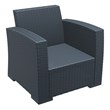 Compamia Monaco Outdoor Club Chair in Dark Gray with Cushion