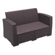 Compamia Monaco Outdoor Loveseat in Brown with Cushion