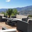 Compamia Monaco 4 Piece Outdoor Sofa Set in Dark Gray with Cushion