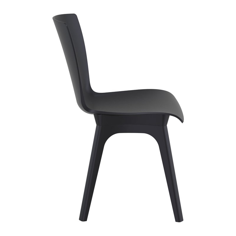 Compamia Mio Dining Side Chair in Black