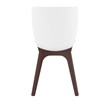 Compamia Mio Dining Side Chair in Brown and White
