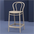 Compamia Victor Contemporary Resin Indoor Outdoor Counter Stool Taupe