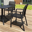 Compamia Pacific Sling Arm Chair in Black