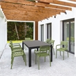 Compamia Paris Resin Outdoor Arm Chair Olive Green