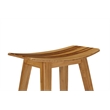 Bamax Tigris Counter Height Stool in Natural Caramelized (Set of 2)