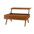 Bamax Pella Lift Top Coffee Table in Copper