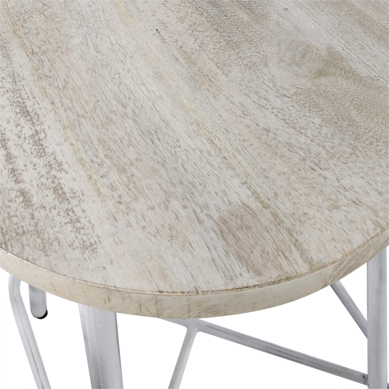 Carolina Classics Illona 24 Inch Counter Height Stool in Whitewash Set of 2