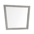 Carolina Chair & Table Largo Acacia Frame Mirror in Grey