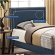 Modway Jessamine Twin Upholstered Polyester Fabric Headboard in Azure Blue