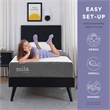 Modway Mila 6