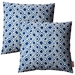 2 Pillows