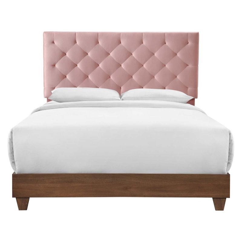 Modway Rhiannon Diamond Tufted Velvet Wood Queen Bed in Walnut/Dusty Rose