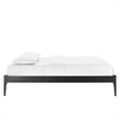 Modway June Queen MDF Wood and Rubberwood Platform Bed Frame in Black