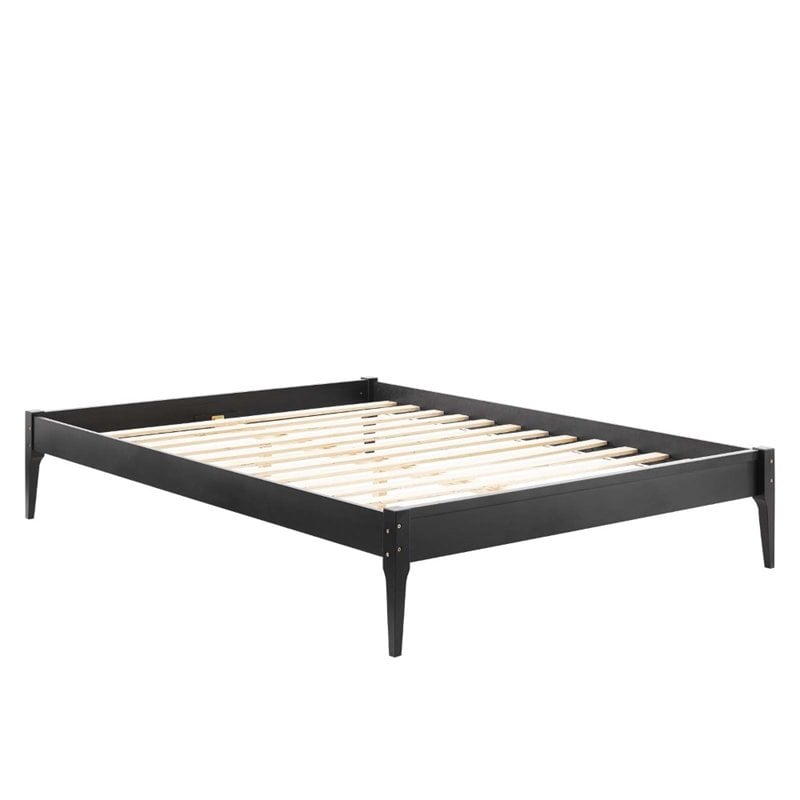 Modway June Queen MDF Wood and Rubberwood Platform Bed Frame in Black
