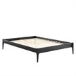 Modway June Queen MDF Wood and Rubberwood Platform Bed Frame in Black