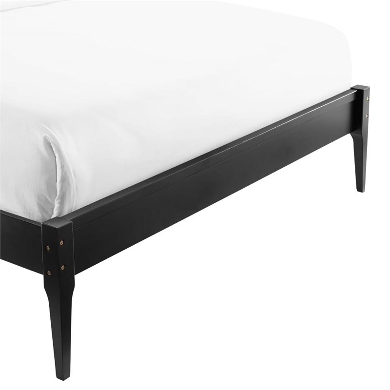 Modway June Queen MDF Wood and Rubberwood Platform Bed Frame in Black