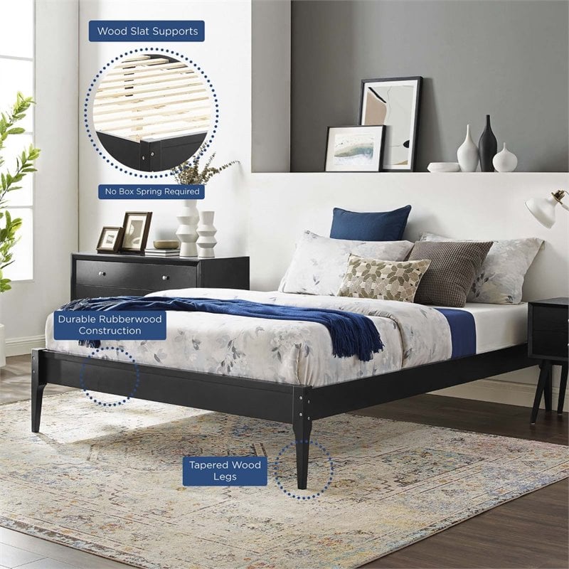 Modway June Queen MDF Wood and Rubberwood Platform Bed Frame in Black