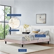 Modway Reign Queen Performance Velvet Platform Bed Frame in Pink