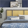 Modway Delmare Cane Rattan and Rubberwood Full Headboard in Gray