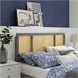 Modway Delmare Cane Rattan and Rubberwood Full Headboard in Gray