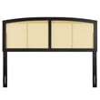 Modway Halcyon Cane Rattan and Rubberwood Full Headboard in Black