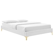 Modway Sutton Queen Modern Performance Velvet Bed Frame in White