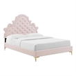 Modway Gwyneth Tufted Performance Velvet Queen Platform Bed - Pink