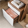 Modway Envision Particleboard MDF Wood Desk and File Cabinet Set in Walnut/White