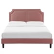 Modway Novi Modern Performance Velvet King Bed in Dusty Rose Pink