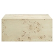 Modway Cosmos 36