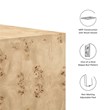 Modway Cosmos 36