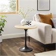 Modway Lippa 20