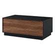 Modway Holden 2-Drawer Wood Coffee Table in Black and Walnut