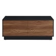 Modway Holden 2-Drawer Wood Coffee Table in Black and Walnut