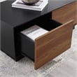 Modway Holden 2-Drawer Wood Coffee Table in Black and Walnut