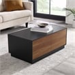 Modway Holden 2-Drawer Wood Coffee Table in Black and Walnut