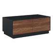 Modway Holden 2-Drawer Wood Coffee Table in Black and Walnut