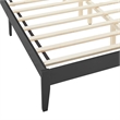 Sirocco Rattan and Wood Queen Platform Bed in Black